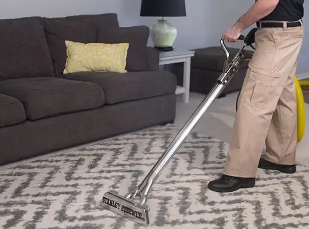 Professional Carpet Cleaning